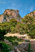 Da Piana del Golgo a Cala Goloritze. Il 'bacu' che scende alla cala.