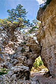 Da Piana del Golgo a Cala Goloritze. Il canalone di Bacu Goloritze.