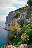 Risaliamo da Porto Pedroso, le falesie di capo Monte Santo. 