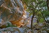 Salita al Monte Tiscali.