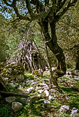 Foresta Montes. Sentiero al Nuraghe Mereu. 'Su Pinnettu' abbandonato.