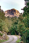 Foresta Montes. Monte Novo San Giovanni di ritorno dal nuraghe Mereu.