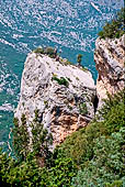 Monte Tiscali, lungo la cresta. 