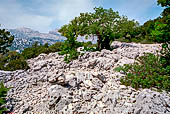 Monte Tiscali, lungo la cresta. 