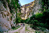 Da Cala Sisine a Cala Biriola. le pareti della Punta Overa e della Punta 'e Antine si restringono, creando una gola attraverso la quale scorre la Codula Sisine.