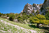 Inizio della discesa verso Pedra longa. Tratto di sentiero lungo le pendici di punta Giradili.
