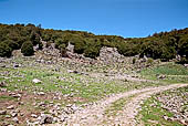 Foresta Montes. Radura attraversata dal sentiero che conduce al Nuraghe Mereu.