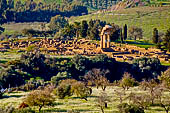 Agrigento, la valle dei templi, il tempio di Castore e Polluce visto dal museo archeologico 