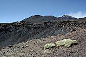 Etna - From Piccolo Rifugio to the Torre del Filosofo. The ridge of 'la Cisternazza' with the summit craters in the background.