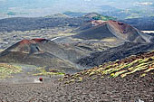 Etna - From Piccolo Rifugio to the Torre del Filosofo. Monti silvestri Superiori