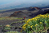 Etna - From Piccolo Rifugio to the Torre del Filosofo. Monti silvestri Superiori