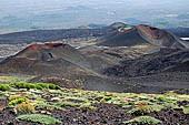 Etna - From Piccolo Rifugio to the Torre del Filosofo. Monti silvestri Superiori