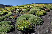 Etna - From Piccolo Rifugio to the Torre del Filosofo. 