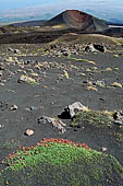 Etna - From Piccolo Rifugio to the Torre del Filosofo. Monti silvestri Superiori