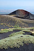 Etna - From Piccolo Rifugio to the Torre del Filosofo. Monti silvestri Superiori