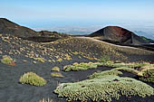 Etna - From Piccolo Rifugio to the Torre del Filosofo. Monti silvestri Superiori.