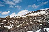 Etna, Monte Nero degli Zappini il sentiero dei carbonai