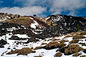 Etna, Monte Nero degli Zappini il sentiero dei carbonai