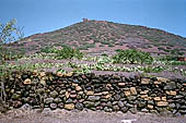 Linosa