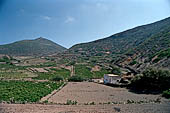 Linosa