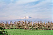 Mount Etna from the mouth of Simeto river