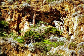 La riserva dello Zingaro, le grotte della Capreria 