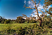 Andalusia stock photographs