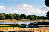 Andalusia stock photographs