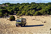 andalucia coto donana stock photographs