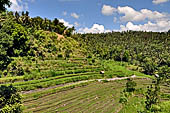 The road to Amed has spectacular scenery with views of rice paddies and plantations around Gunung Lempuyang.