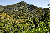 The road to Amed has spectacular scenery with views of rice paddies and plantations around Gunung Lempuyang.
