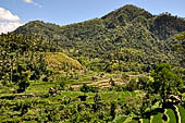 The road to Amed has spectacular scenery with views of rice paddies and plantations around Gunung Lempuyang.