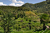 The road to Amed has spectacular scenery with views of rice paddies and plantations around Gunung Lempuyang.