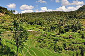 The road to Amed has spectacular scenery with views of rice paddies and plantations around Gunung Lempuyang.