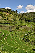 The road to Amed has spectacular scenery with views of rice paddies and plantations around Gunung Lempuyang.