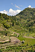The road to Amed has spectacular scenery with views of rice paddies and plantations around Gunung Lempuyang.