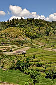 The road to Amed has spectacular scenery with views of rice paddies and plantations around Gunung Lempuyang.