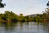 West Bali National Park, mangrove swamps.