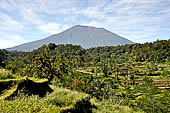 Bali, the picturesque rice terraces on the way to the village of Sidemen with Gunung Agung on the background.