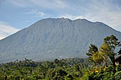 Bali, the picturesque rice terraces on the way to the village of Sidemen with Gunung Agung on the background.