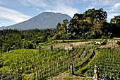 Bali, the picturesque rice terraces on the way to the village of Sidemen with Gunung Agung on the background.