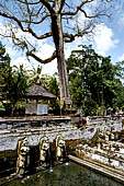 Goa Gajah - the bath sanctuary with six beautiful stone nymphs representing Wadadari holding vases as waterspouts.
