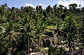 Gunung Kawi (Bali) - The landscape where the site is immersed. 