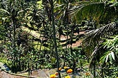 The rice terraces surrounding Gunung Kawi (Bali). 