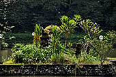 Pura Luhur Batukau - Bali - Fountain for the purification of the worshippers 