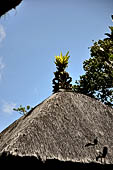 Pura Luhur Batukau - Bali - Thatched roofs of the pavilion (Bale).