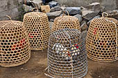 Pura Meduwe Karang - Bali - Roosters bred for cock-fighting.