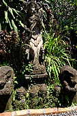 Coffee farm, Sanur Bali.
