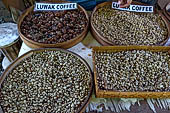 Coffee farm, Sanur Bali.