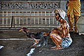 Pura Taman Ayun - Bali. Large double roofed pavilion with statues representing the a cock fighting scene.